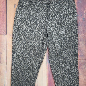 Cato Plus Leopard print pants size 22W